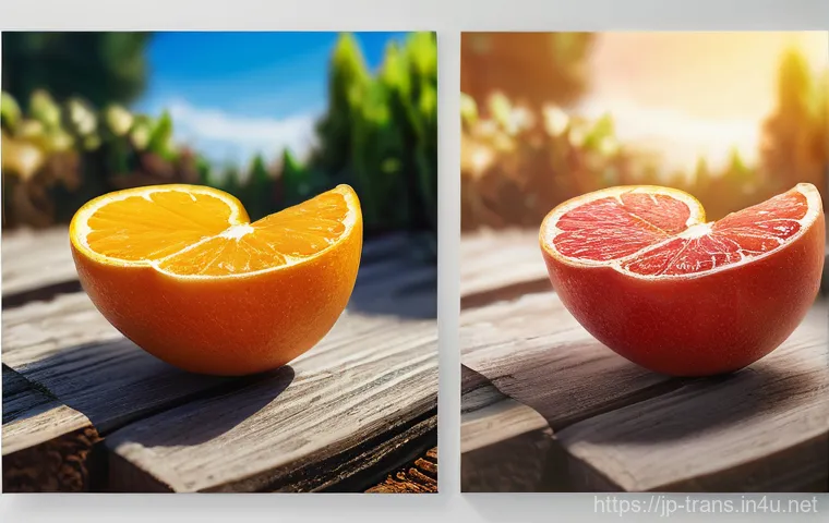 번역사 자격증 관련 기관에서의 도움 받기 - Here are three detailed image prompts in English, adhering to all the specified guidelines: